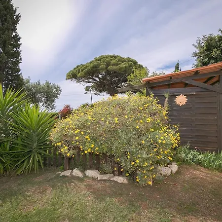 Podere Isabella San Vincenzo Exterior photo