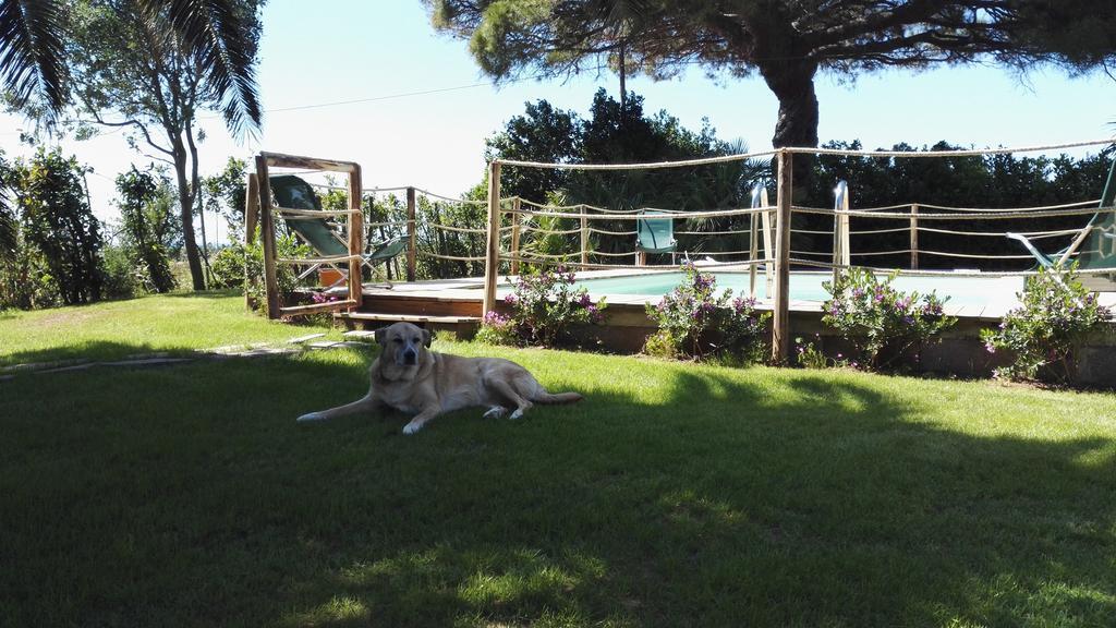 Holiday home Podere Isabella