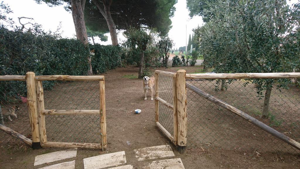 Podere Isabella Holiday home *
