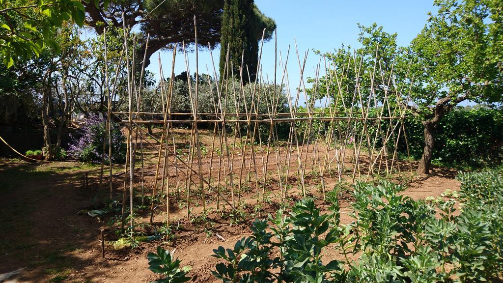 Holiday home Podere Isabella San Vincenzo